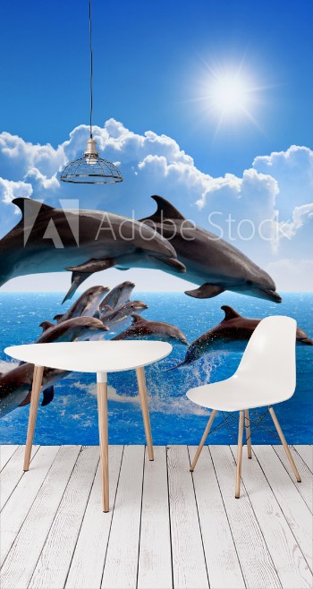 Bild på Jumping dolphins